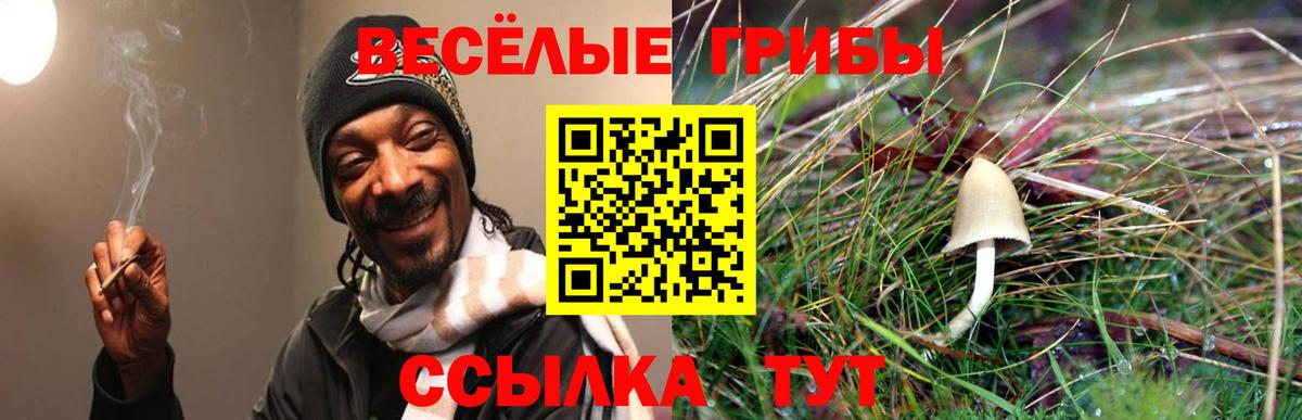 наркошоп  Псилоцибиновые грибы Psilocybine cubensis  Вход с VPN  Елизово 