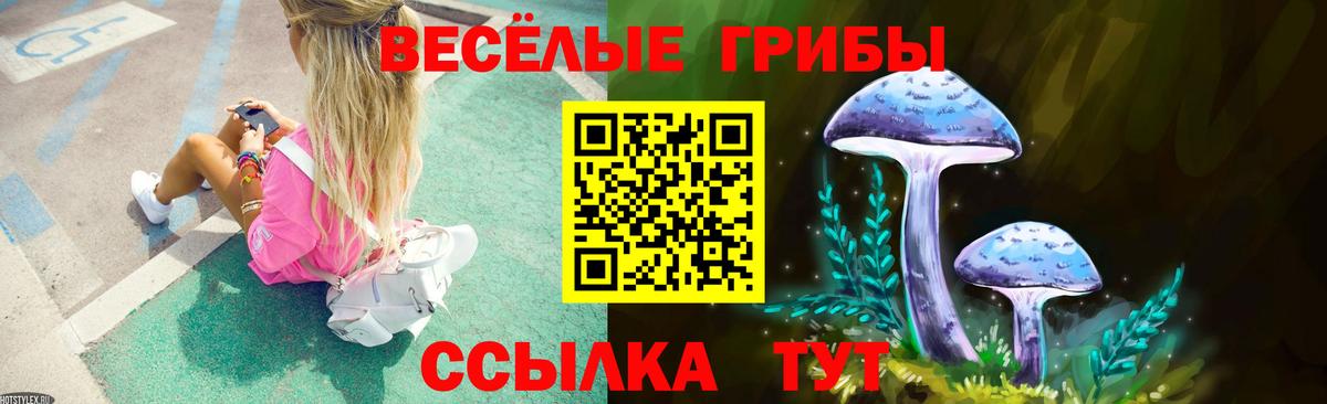 Галлюциногенные грибы мухоморы Елизово
